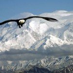 Alaska